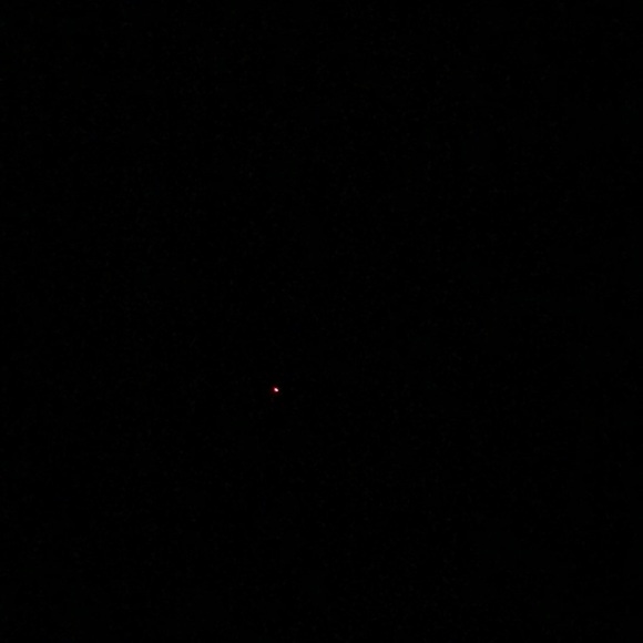 Meet your Posher, Daisy - Picture 1 of 1